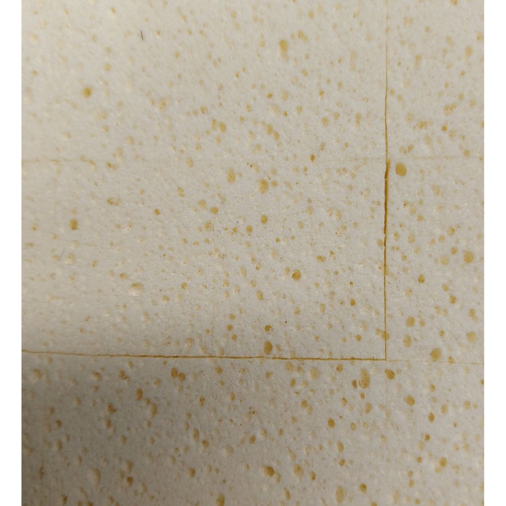 Beava Wash Boy Sponge & Handle
