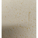 Beava Wash Boy Sponge & Handle