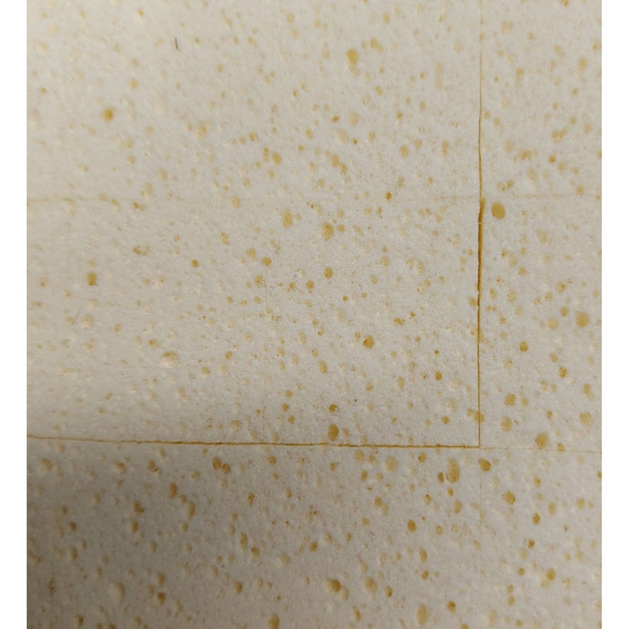 Beava Wash Boy Sponge & Handle