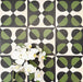 Abstract Illusion Verde Noir Patterned Tiles in a 20x20cm format, displayed in a repeated grid layout to showcase the bold optical illusion design. Deep black and rich green curved shapes contrast with a soft neutral background, creating a striking, high-impact pattern ideal for feature walls, floors or decorative splashbacks.