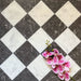 Chequerboard layout featuring Fayrouz White 15.2x15.2cm natural marble tiles with a honed finish, paired with black marble tiles, installed diagonally and styled with pink orchid flowers for a soft decorative contrast.