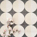 Eclipse Lunar 20x20cm terrazzo-style patterned tiles featuring circular geometric detailing with speckled stone-inspired texture, designed to create bold statement walls and contemporary patterned floor interiors.