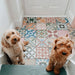 Entrance hallway featuring Fayrouz Patchwork 20×20cm Moroccan-style porcelain floor tiles, displaying a colourful mix of geometric and floral patterns that create a playful, decorative patchwork effect.