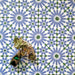 Fez Ocean Blue 20x20cm Moroccan-style porcelain wall tiles arranged in a repeating geometric pattern, featuring blue, white and green star motifs, styled with decorative succulents and a small lantern for a fresh, Mediterranean-inspired look.