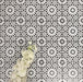 Fez Mini Winter Moroccan-style porcelain tiles shown laid in a repeating pattern, featuring a striking black and white geometric star design inspired by traditional Moroccan motifs. The 15 × 15cm tiles create a bold, high-contrast surface with intricate detailing, styled here with white flowers for a clean, elegant look—ideal for statement floors, splashbacks, or feature walls in both modern and classic interiors.