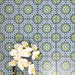 Fez Mini Springs 15x15cm Moroccan-style porcelain wall tiles arranged in a repeating geometric pattern, featuring layered blue and soft green star motifs, styled with white orchid flowers for a fresh, decorative finish.