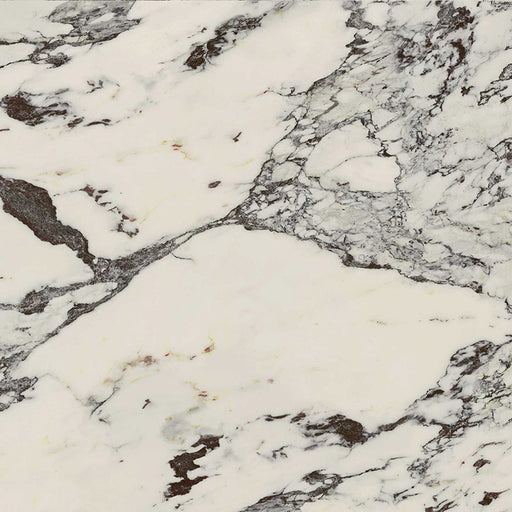 Close-up of Hudson Capraia Matt Marble 60 × 60cm porcelain tile, highlighting a soft white base with bold, organic dark veining and subtle tonal variation for a refined, natural marble effect.