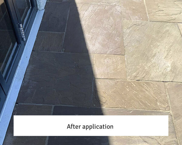 LTP Solvex Powerful Non-Caustic Stripper 1ltr