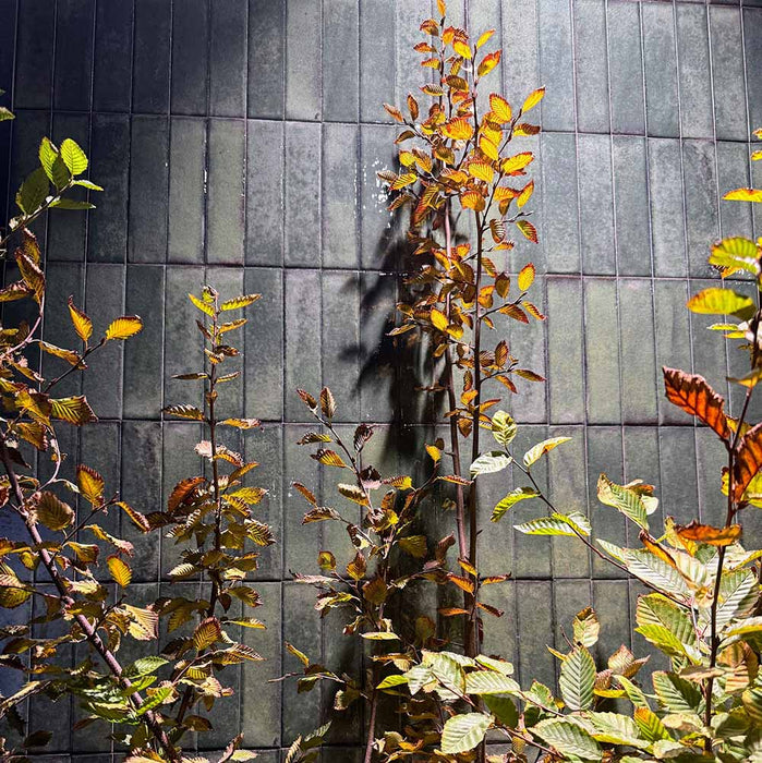 Close-up of Puzzle Forest Green Brick rectified wall and floor tiles in 5x20cm format, installed vertically on a feature wall, highlighting glossy surface texture and rich green tonal variation in a contemporary setting.