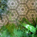 Wall installation featuring Medina Soft Green Moroccan-style hexagon porcelain tiles, 18.7 × 21.6 cm, arranged in a repeating geometric pattern and styled with lush green plants for a fresh, natural look.