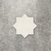 Close-up of Muscat Bone Star Moroccan-style porcelain wall and floor tile, showcasing an eight-point geometric star shape, soft bone white tone and smooth matt finish.