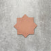 Close-up of Muscat Cotto Star Moroccan-style porcelain wall and floor tile, showcasing an eight-point geometric star shape, warm terracotta tone and smooth matt finish.
