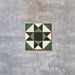 Single Greenbrook Manor anti-slip encaustic Victorian-style porcelain tile, 20 × 20 cm, featuring a bold geometric star pattern in green, black and white on a neutral background.