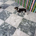 Venice Emerald and Venice Pearl matt terrazzo effect porcelain tiles laid in a chequerboard pattern, creating a striking floor design alongside colourful gloss brick wall tiles.