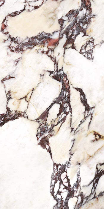 Close-up of Viola Matt Honed Marble effect 60 × 120cm porcelain tile, showcasing a soft cream base with dramatic burgundy and charcoal veining, intricate pattern detail, and natural stone-inspired variation.