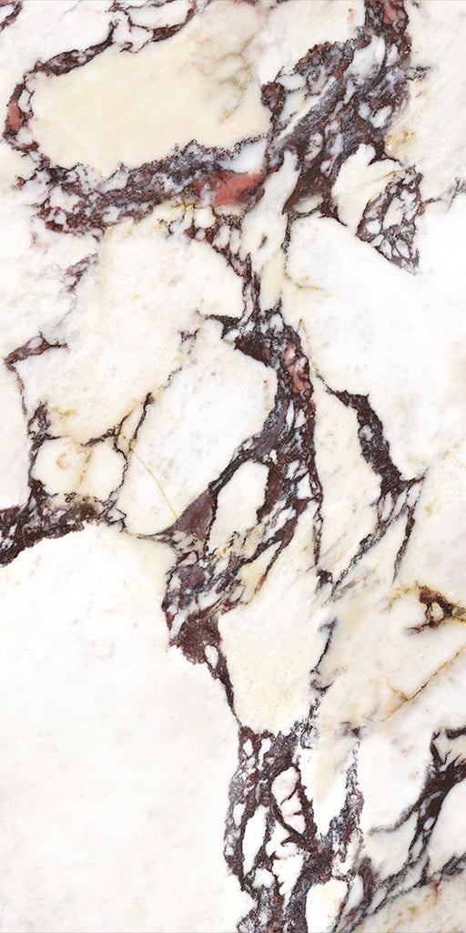 Close-up of Viola Polished Marble effect 60 × 120cm porcelain tile, showcasing a creamy base with dramatic burgundy and charcoal veining, high-gloss finish, and detailed natural stone-inspired pattern variation.