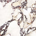 Close-up of Viola Polished Marble effect 60 × 60cm porcelain tile, showcasing a creamy base with bold burgundy and charcoal veining, high-gloss finish, and detailed natural stone-inspired pattern variation.