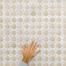 Close-up of Zanzibar Moroccan Natural White ceramic wall tiles in a repeating Moroccan style geometric star pattern, shown with a hand for scale to highlight the 31 x 56cm format, glossy glazed finish and subtle tonal variation.