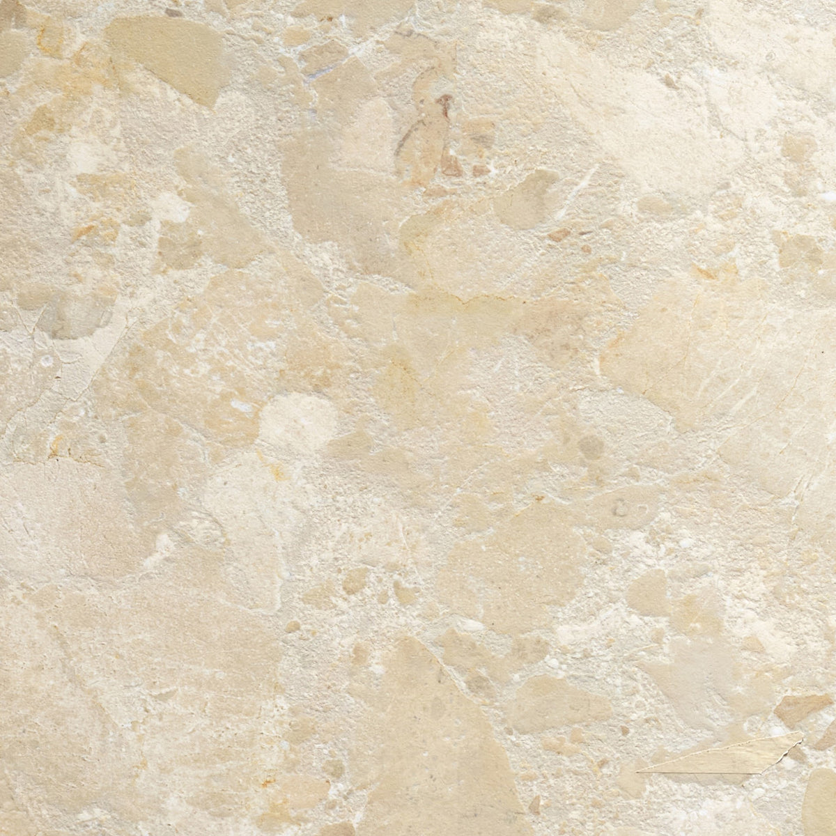 Baresi Cream 3D Terrazzo style Tiles 60cm x 60cm