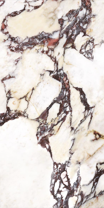 Viola Polished Marble style | Porcelain Wall & Floor Tiles | 60cm x 120cm